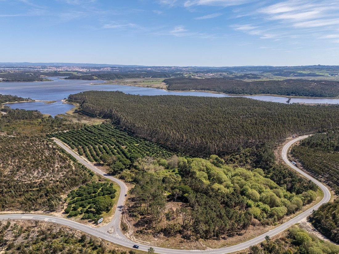 Land in Vau, Leiria District, Portugal 3 - 17797732