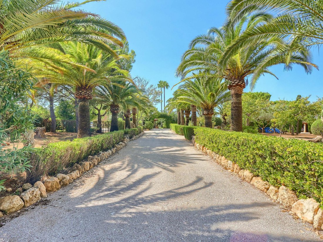Country House in Santa Maria del Cami, Balearic Islands, Spain 1 - 16988167