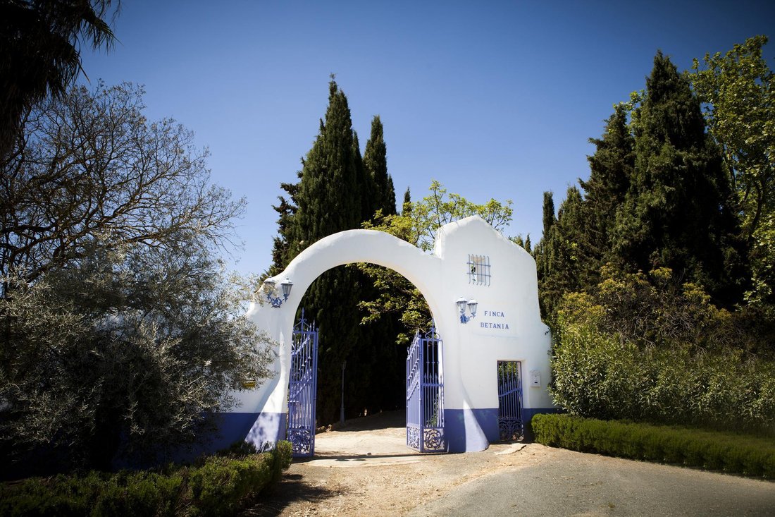 Country House in Archidona, Andalusia, Spain 5 - 16989607