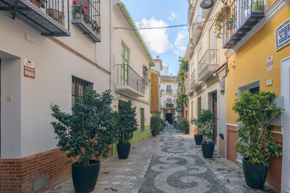 Villa in Centro, Malaga, Spain 3 - 17280865