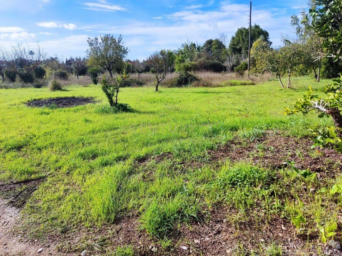 Villa in Selva, Balearic Islands, Spain 5 - 17411650