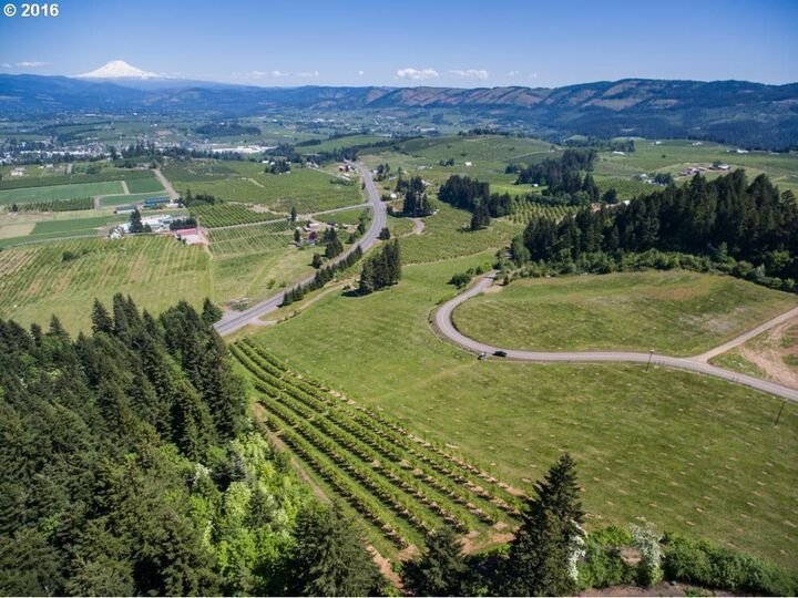 House in Hood River, Oregon, United States 1 - 17637610