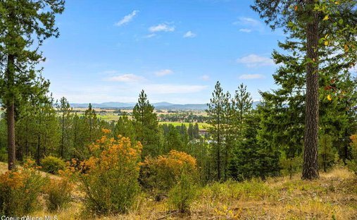 House in Rathdrum, Idaho, United States 1