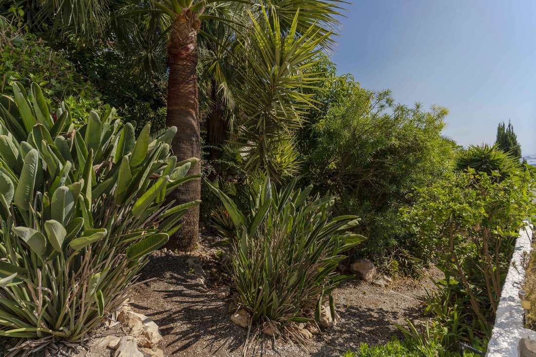 Villa in Salobrena, Andalusia, Spain 5 - 16987466