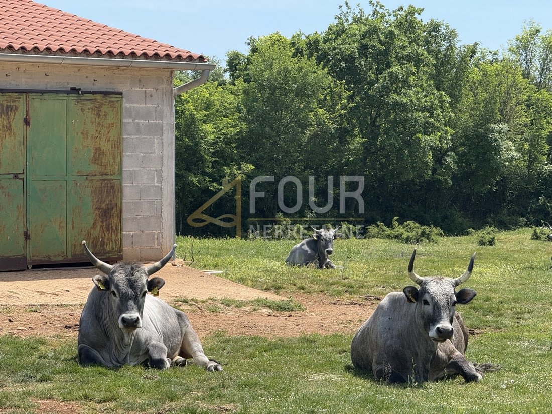 House in Marcana, Istria County, Croatia 1 - 17784865