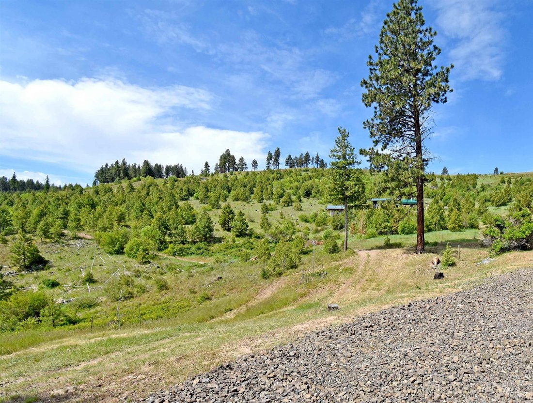 Pomeroy, Washington, United States 4 - 17797962