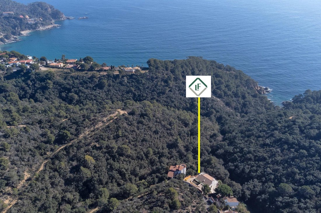 Villa in Tossa de Mar, Catalonia, Spain 3 - 16989582