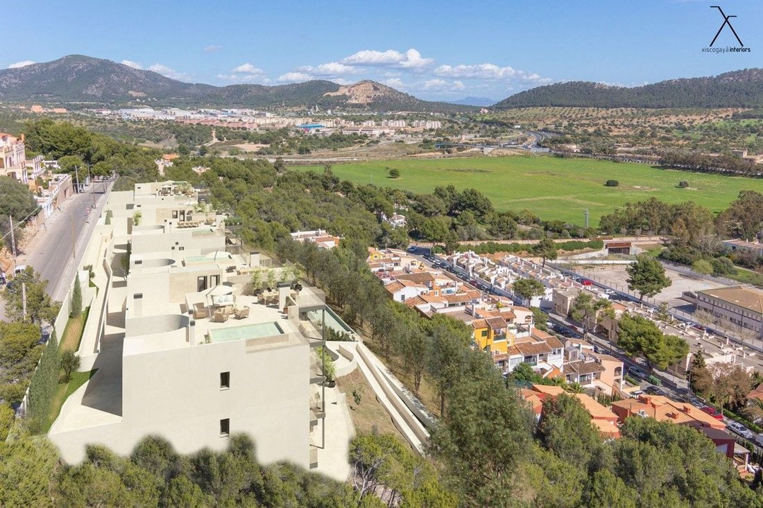 Apartment in Rotes Velles, Calvia, Balearic Islands 2 - 17795263