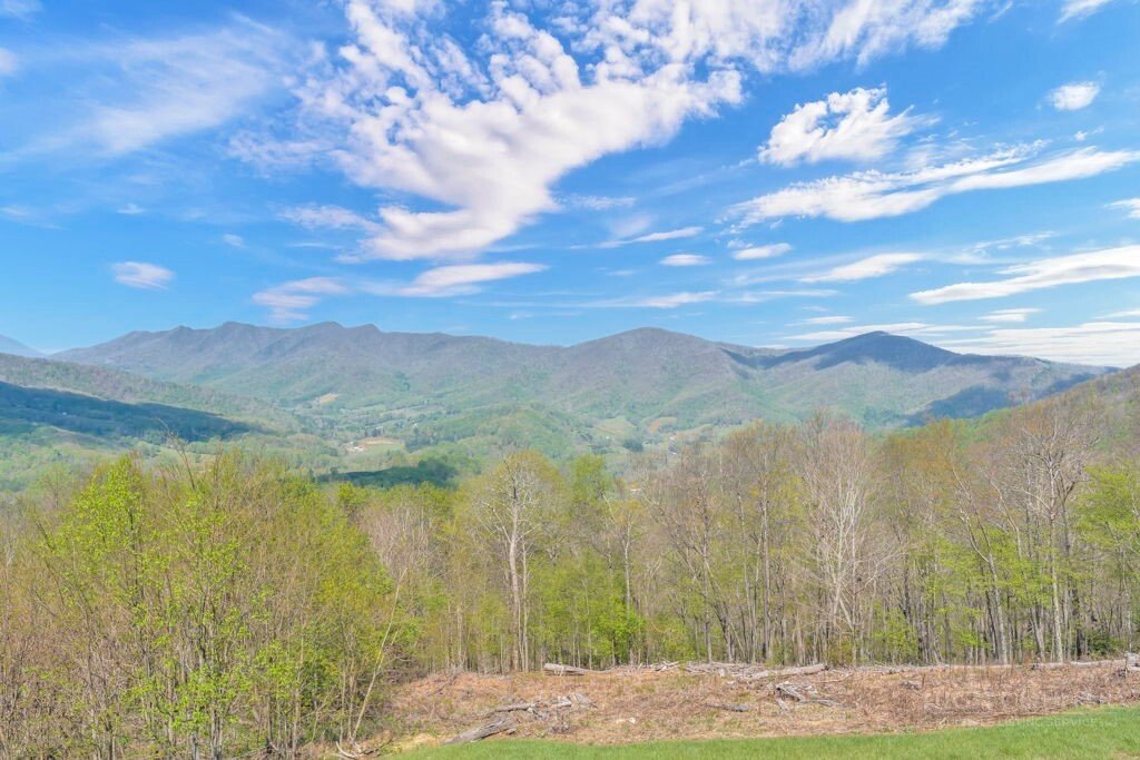 House in West Jefferson, North Carolina, United States 5 - 17795814