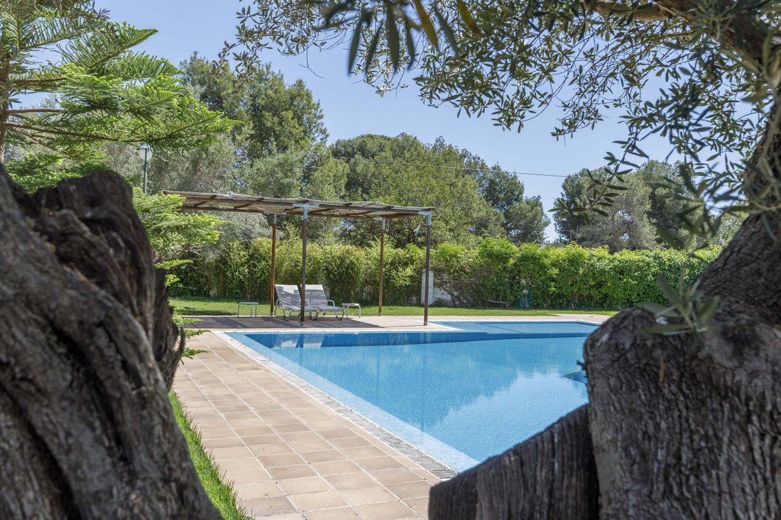 Farm Ranch in Betera, Valencian Community, Spain 4 - 16989015