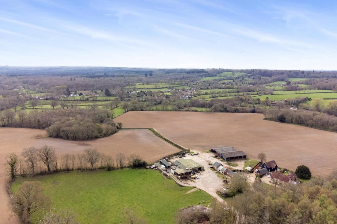 Farm Ranch in Redlynch, England 2 - 17798605