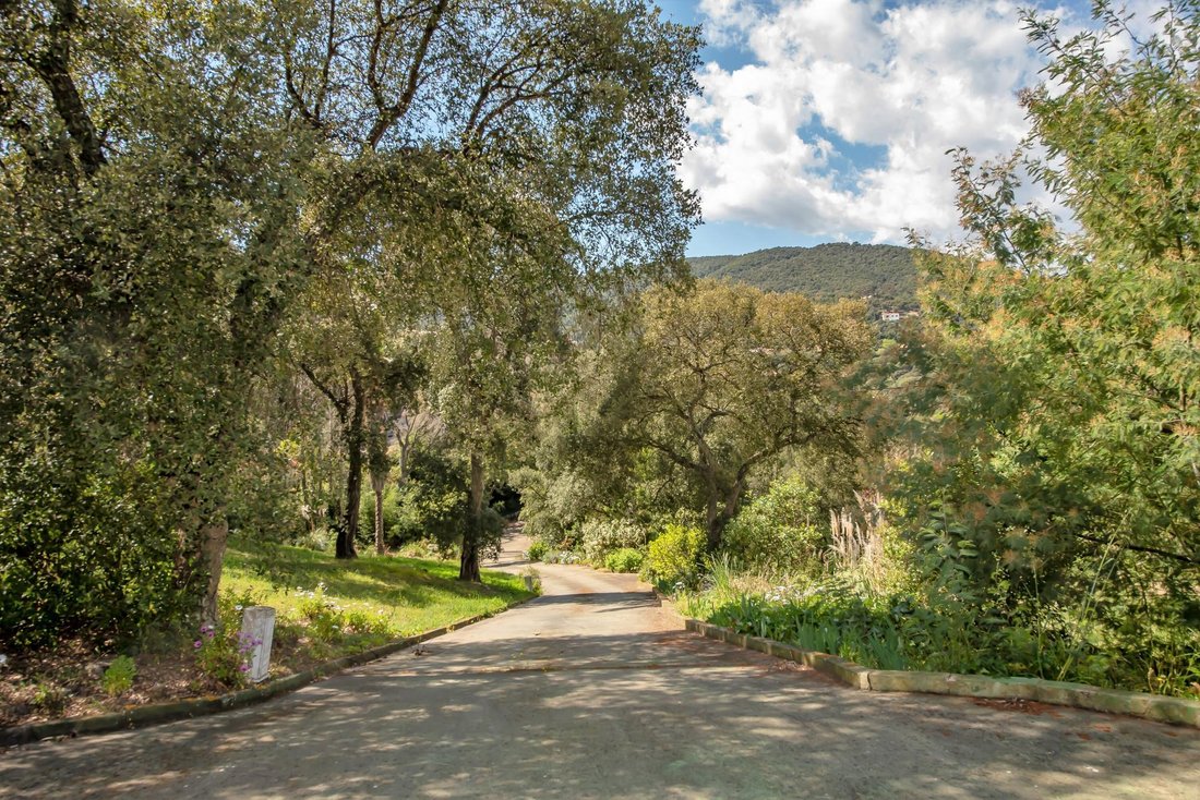 Villa à Santa Cristina d'Aro, Catalogne, Espagne 5 - 16989808