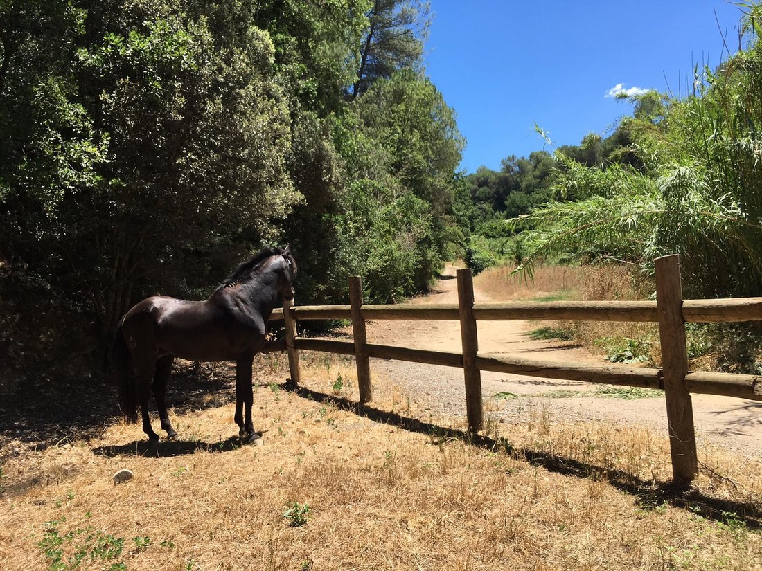 Land in Sant Cugat del Valles, Catalonia, Spain 2 - 16988209