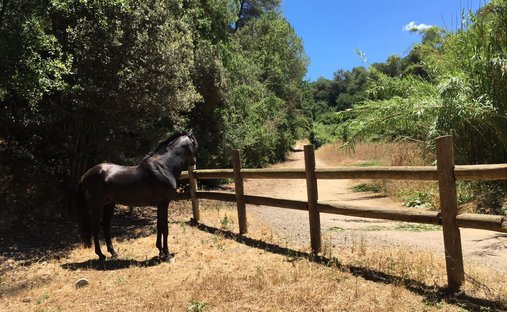 Terreno a Sant Cugat del Vallès, Catalogna, Spagna 1
