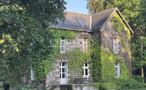 Estate in Richelieu, Centre-Val de Loire, France 1