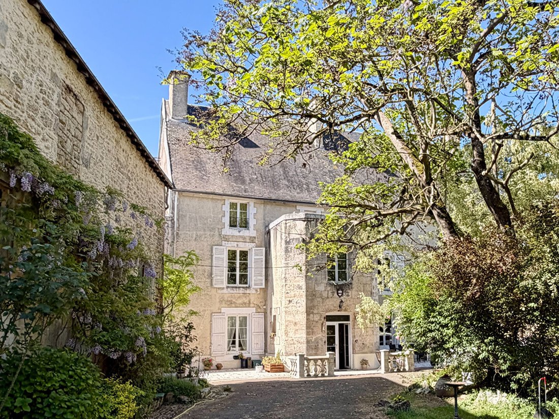 Chateau in Chef-Boutonne, Nouvelle-Aquitaine, France 1 - 17796534