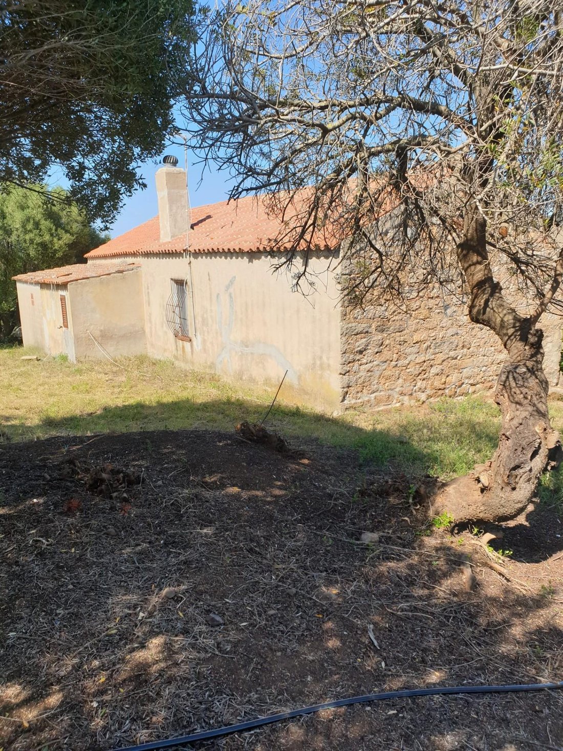 Country House in Area Arzachena Paese, Arzachena, Sardinia 5 - 17799114