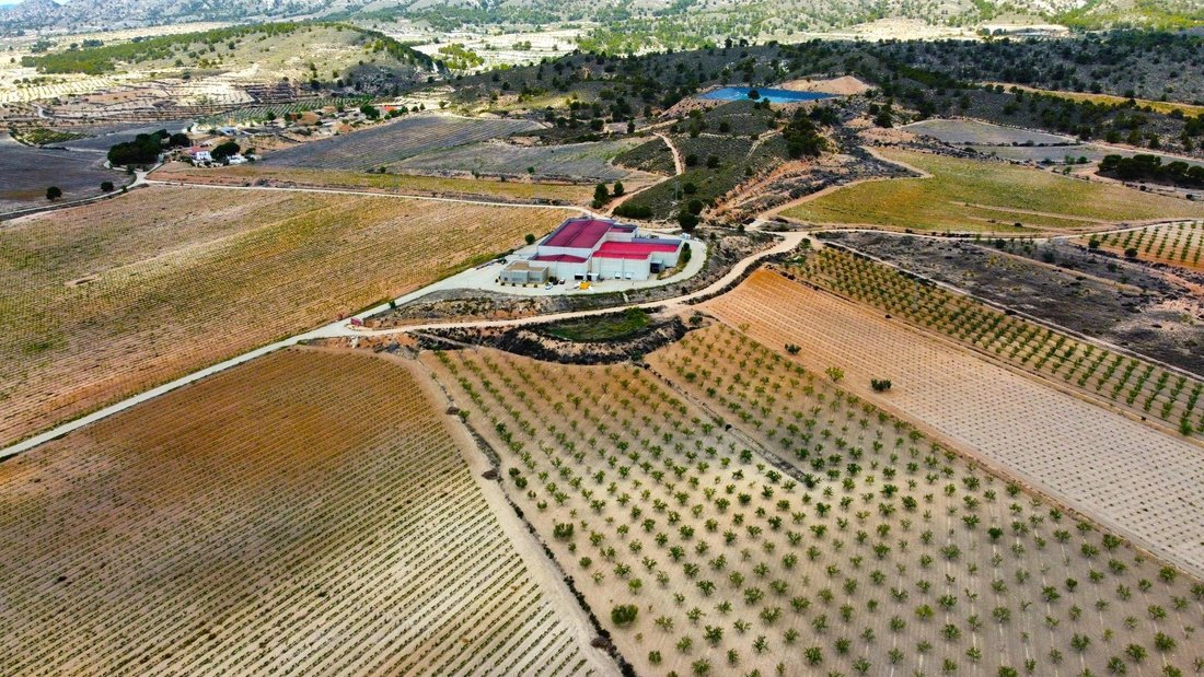 Farm Ranch in el Pinos / Pinoso, Valencian Community, Spain 1 - 16988517