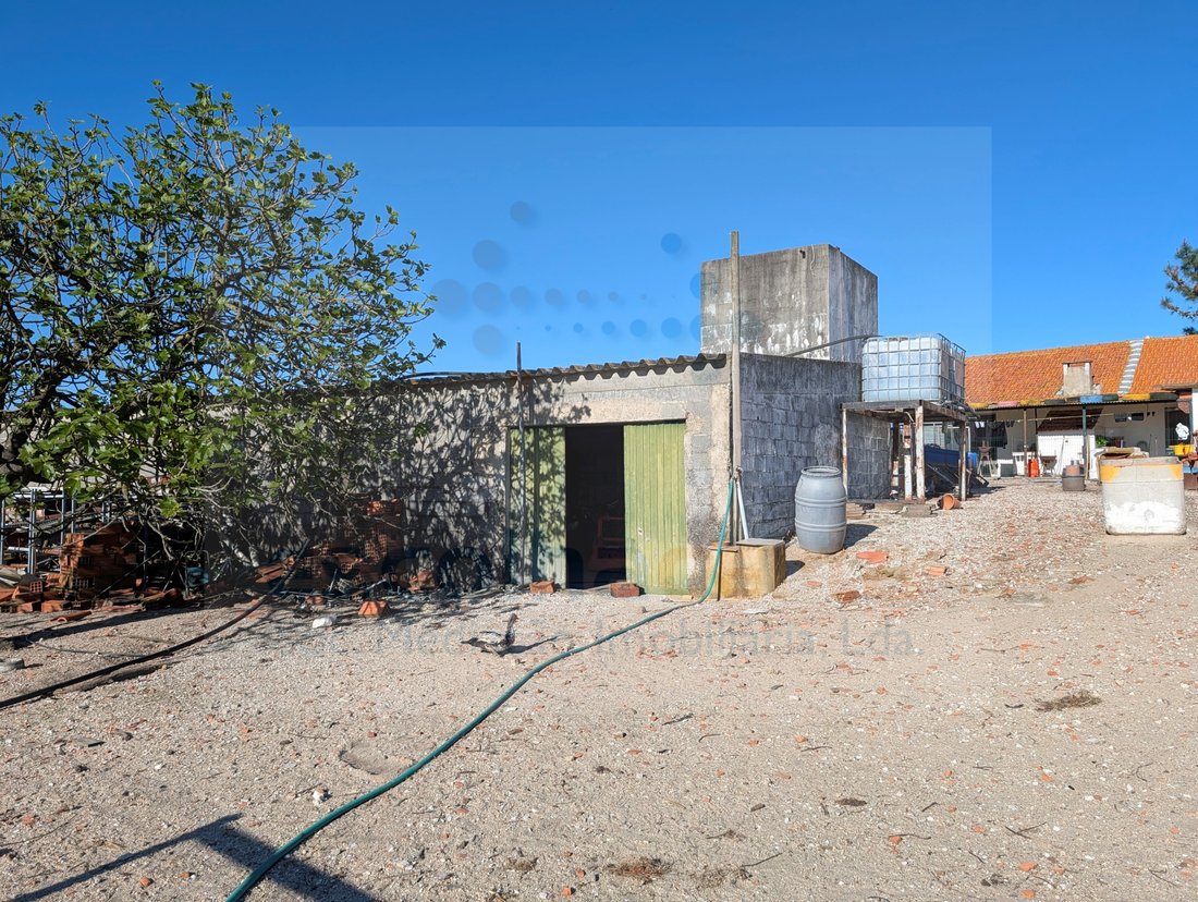 Finca a Pegões, Setúbal Municipality, Portogallo 5 - 17797727