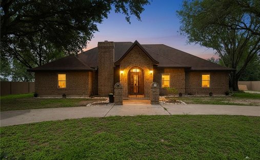 House in Alamo, Texas, United States 1