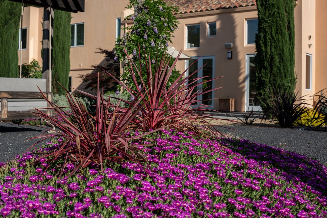 House in Sonoma, California, United States 3 - 17797109