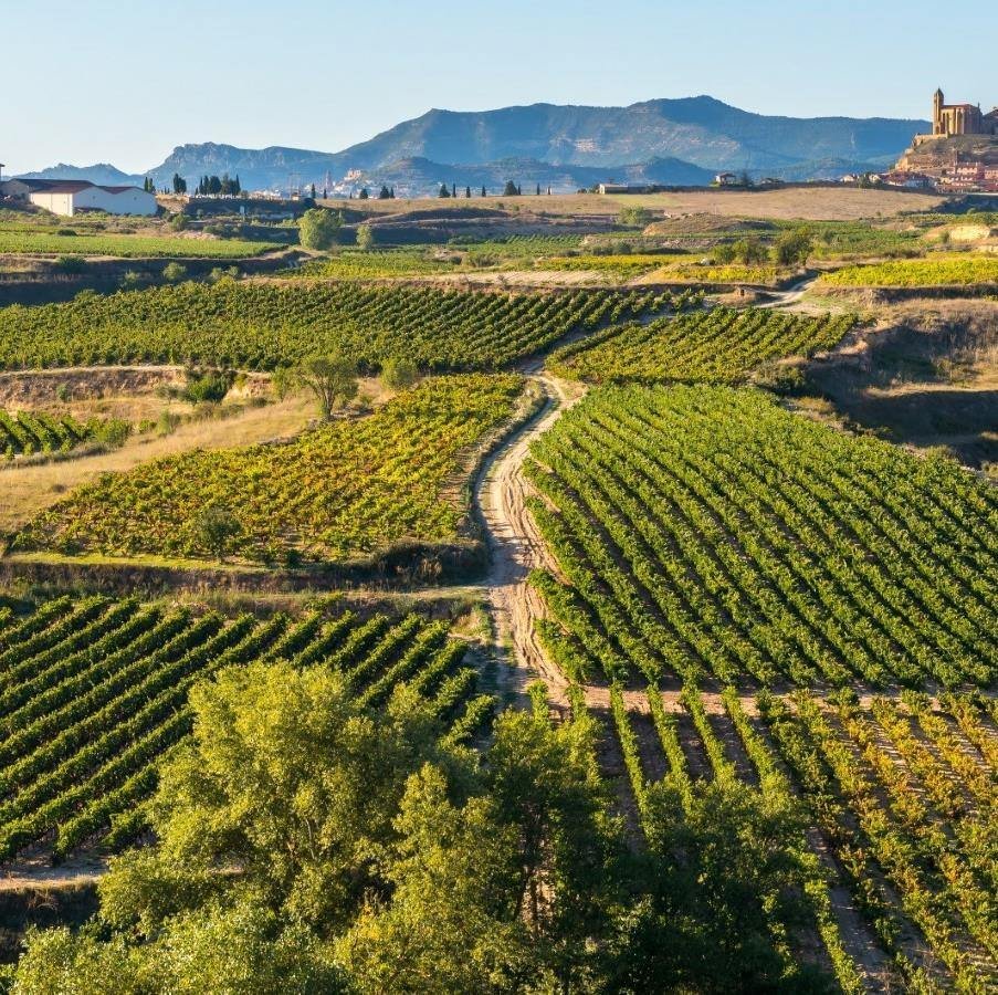 Farm Ranch in Ciutat Vella, Valencia, Spain 2 - 16989329