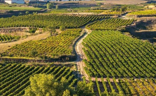 Farm Ranch in Haro, La Rioja, Spain 1