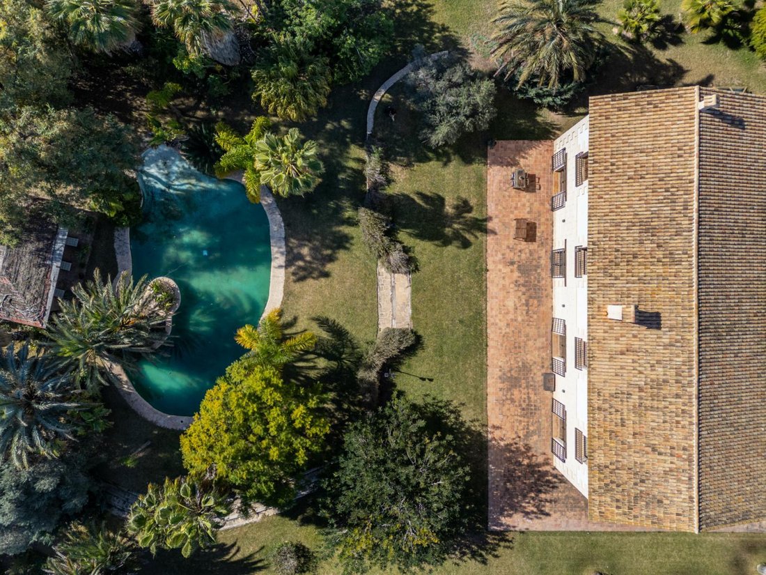 Villa in Elx / Elche, Valencian Community, Spain 4 - 16988695