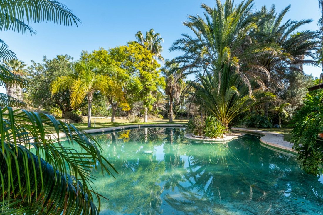 Villa in Elx / Elche, Valencian Community, Spain 3 - 16988695