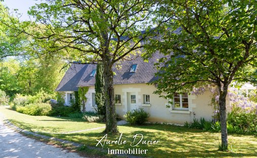 House in Rochecorbon, Centre-Val de Loire, France 1