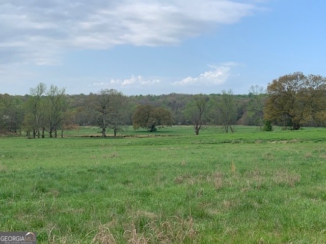 House in Danielsville, Georgia, United States 3 - 17795730
