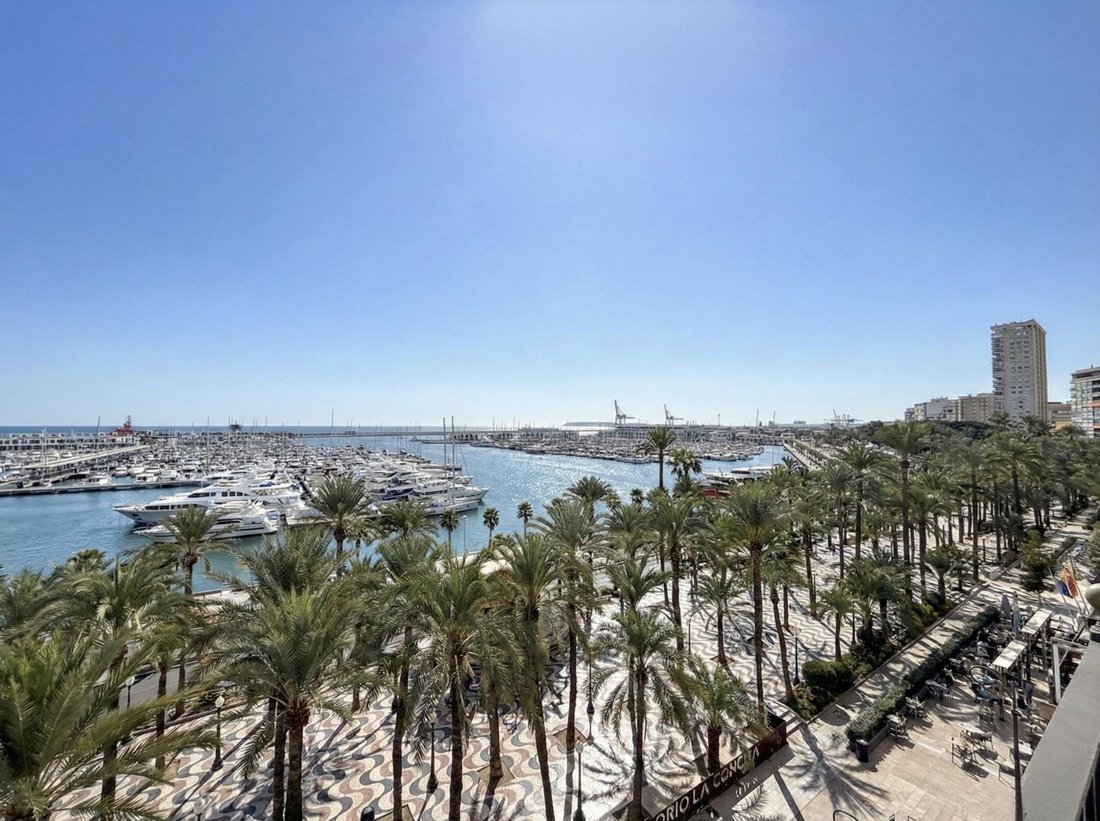 Apartment in Alicante, Valencian Community, Spain 2 - 16987732