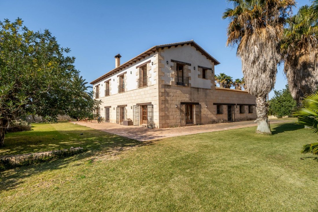 Villa in Elx / Elche, Valencian Community, Spain 1 - 16988695