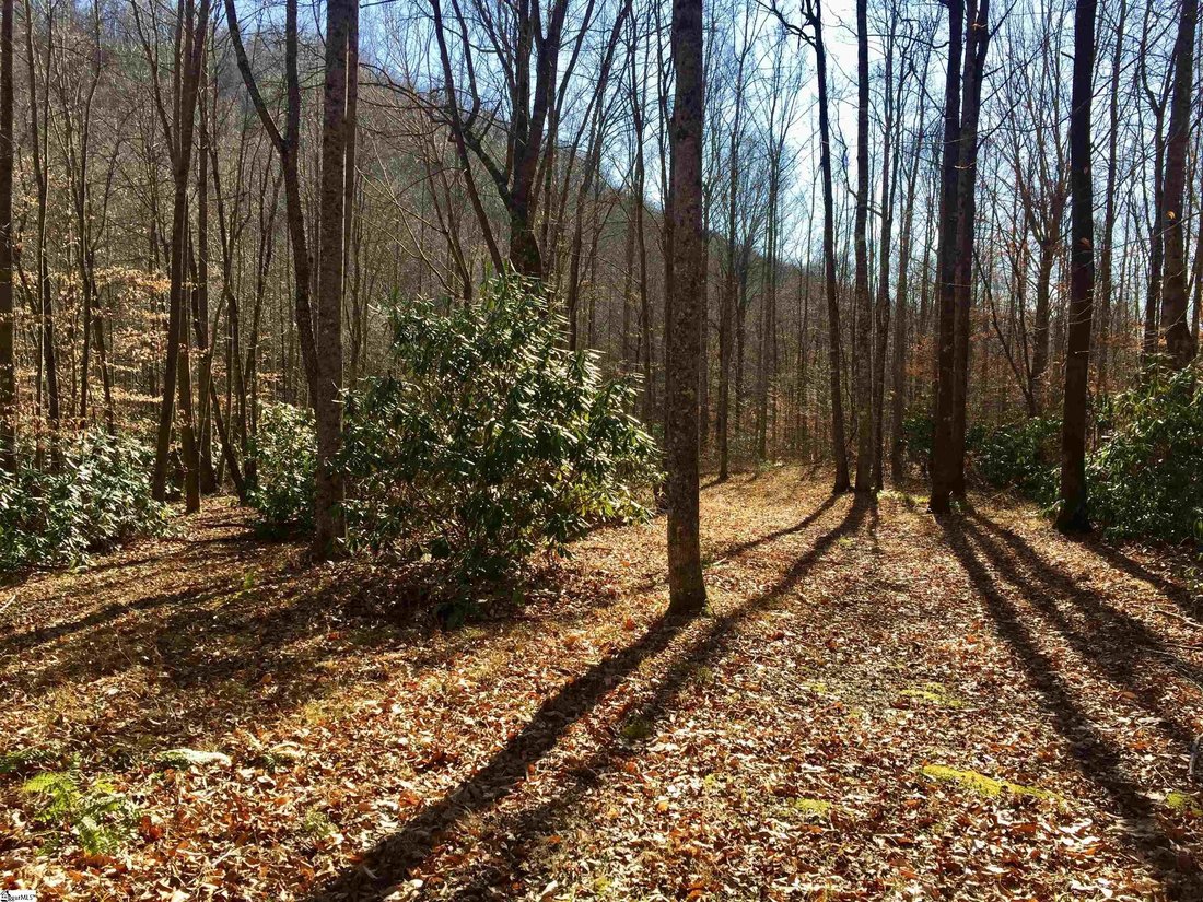 House in Travelers Rest, South Carolina, United States 4 - 17793948