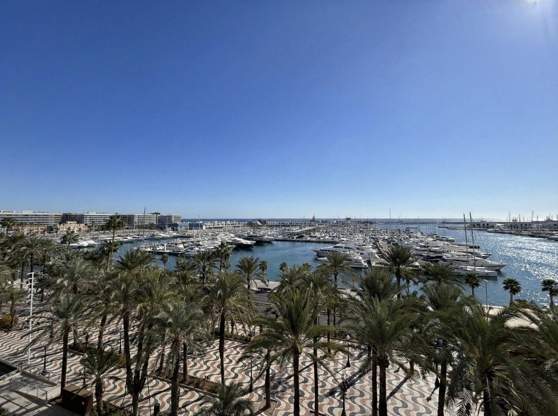 Apartment in Alicante, Valencian Community, Spain 3 - 16987732