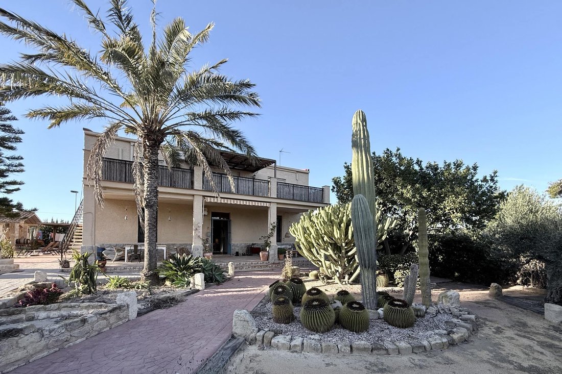 Villa in Elx / Elche, Valencian Community, Spain 1 - 17003289