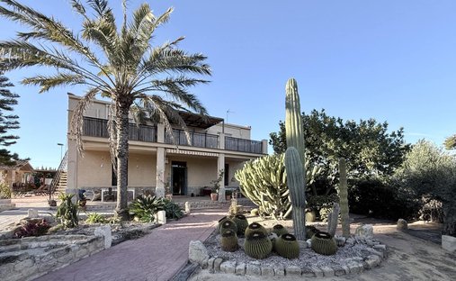 Villa in Elx / Elche, Valencian Community, Spain 1