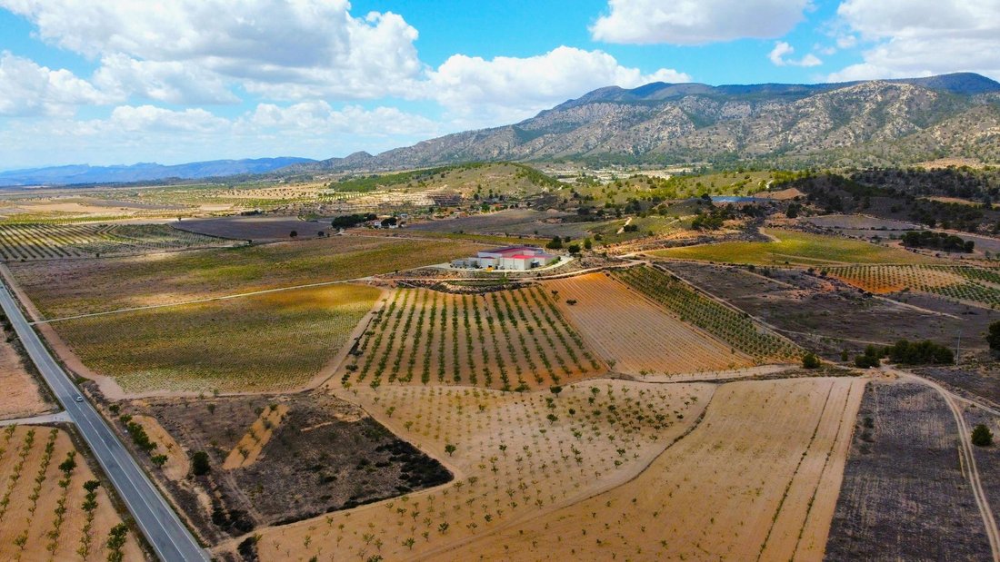 Farm Ranch in el Pinos / Pinoso, Valencian Community, Spain 4 - 16988517