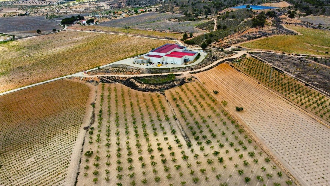 Farm Ranch in el Pinos / Pinoso, Valencian Community, Spain 3 - 16988517