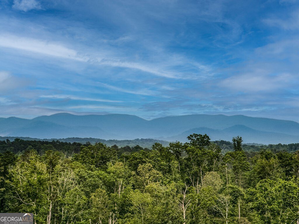 Casa a Ellijay, Georgia, Stati Uniti 5 - 17798838