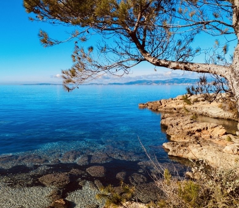 Villa in Llucmajor, Balearic Islands, Spain 5 - 17797100