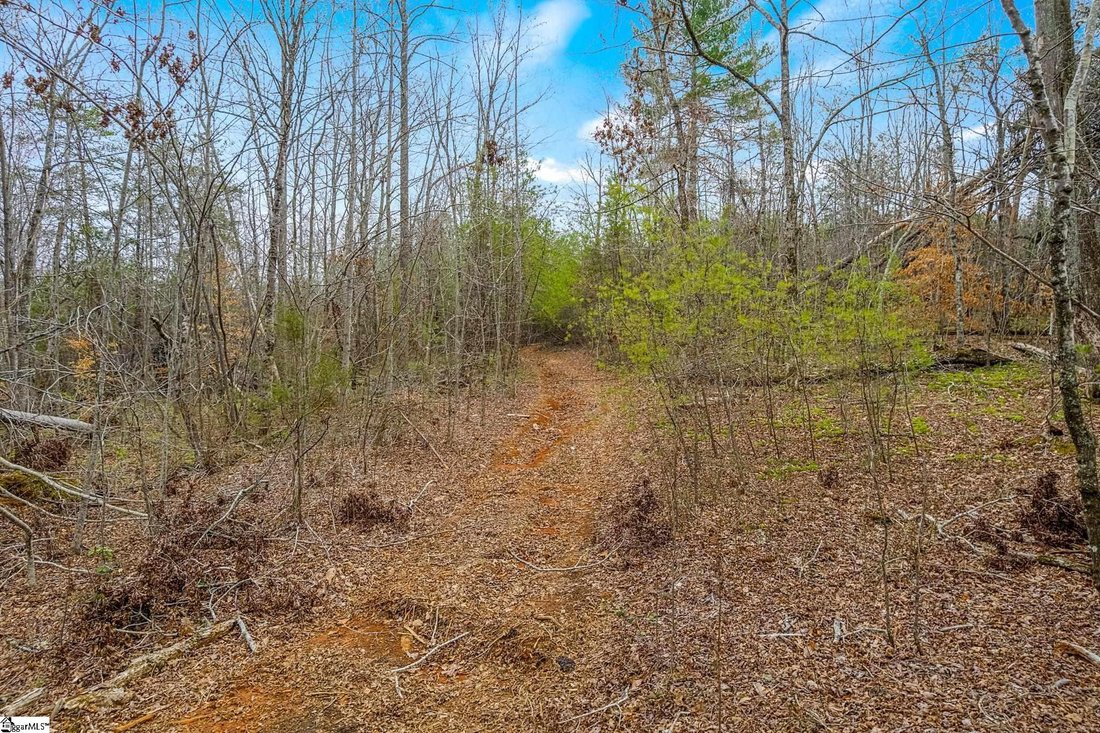 House in Travelers Rest, South Carolina, United States 1 - 17793754