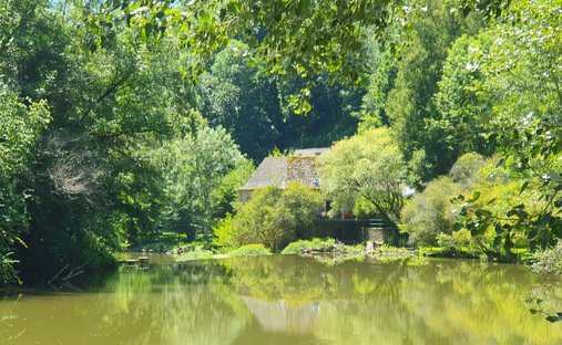 Villa a Rignac, Occitania, Francia 1