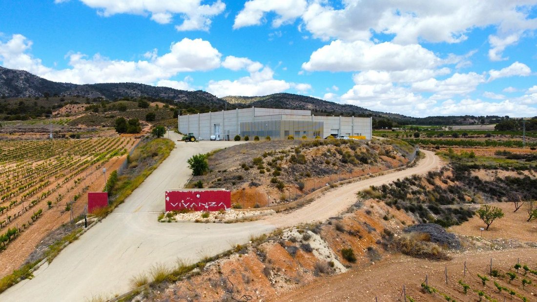 Farm Ranch in el Pinos / Pinoso, Valencian Community, Spain 5 - 16988517