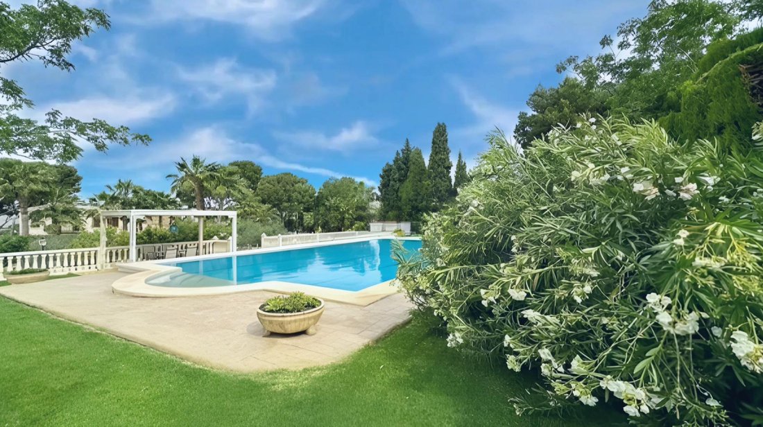 Villa in Petrer, Valencian Community, Spain 1 - 16988667