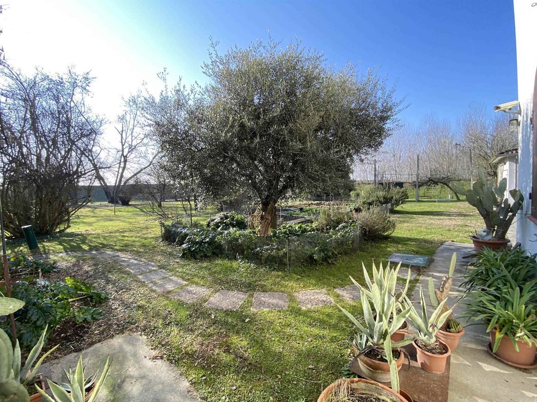 Co Op in San Benedetto Po, Lombardy, Italy 5 - 17800176