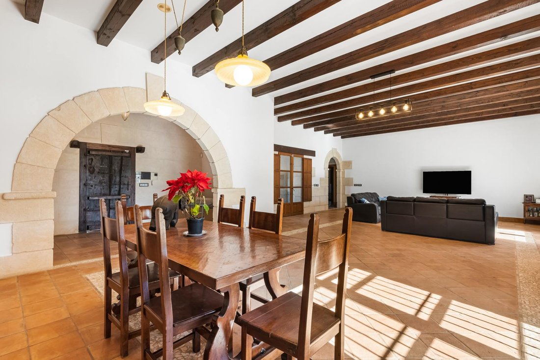 Villa in Elx / Elche, Valencian Community, Spain 5 - 16988695