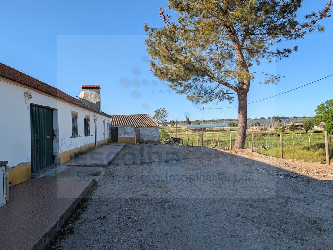 Finca a Pegões, Setúbal Municipality, Portogallo 1 - 17797727