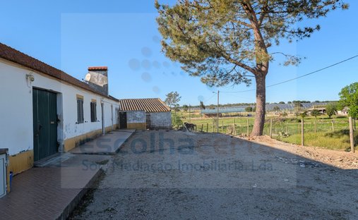 Finca en Pegões, Setúbal Municipality, Portugal 1