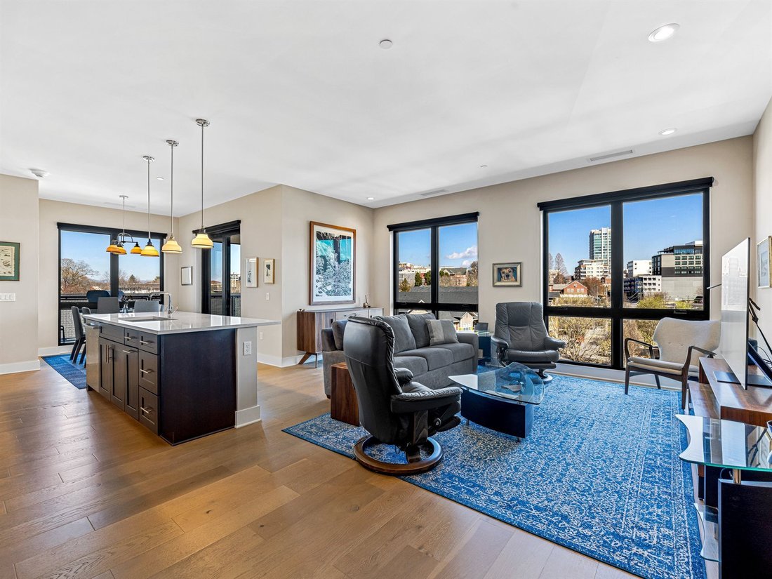 Condo in Asheville, North Carolina, United States 5 - 17801315